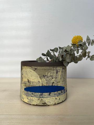 Sunshine and blue succulent holder